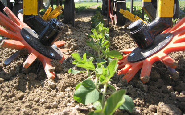 Finger weeder